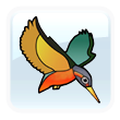Baltimore Kingfishers