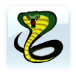 Carolina Cobras