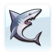 Miami Sharks