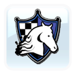 New York Knights